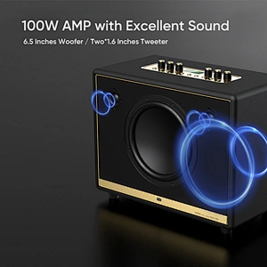 100W Home Hi-Fi Audio UHF High Frequency Wireless PA Technology Support Recording Karaoke Speaker Outdoor