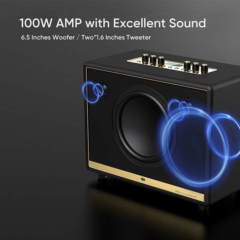 100W Home Hi-Fi Audio UHF High Frequency Wireless PA Technology Support Recording Karaoke Speaker Outdoor