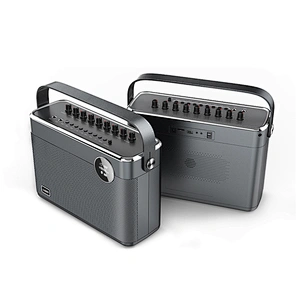 60W Home HiFi Audio Party Speaker DSP Sound Wireless Microphone Rechargeable Portable Bluetooth Karaoke Speaker