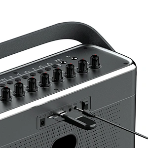 60W Home HiFi Audio Party Speaker DSP Sound Wireless Microphone Rechargeable Portable Bluetooth Karaoke Speaker