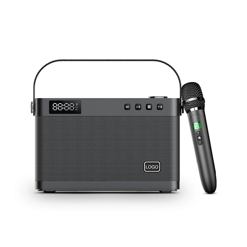 40w Powerful 3.5 Inch Audio Speaker Portable High End Home Hi-Fi Speaker With Handheld Microphone