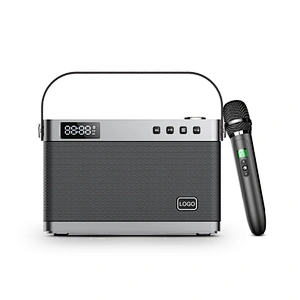 40w Powerful 3.5 Inch Audio Speaker Portable High End Home Hi-Fi Speaker With Handheld Microphone
