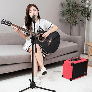 Big Power 100W Home Hifi Original Sound Karaoke Speaker Bluetooth Wireless Musical instrument speaker