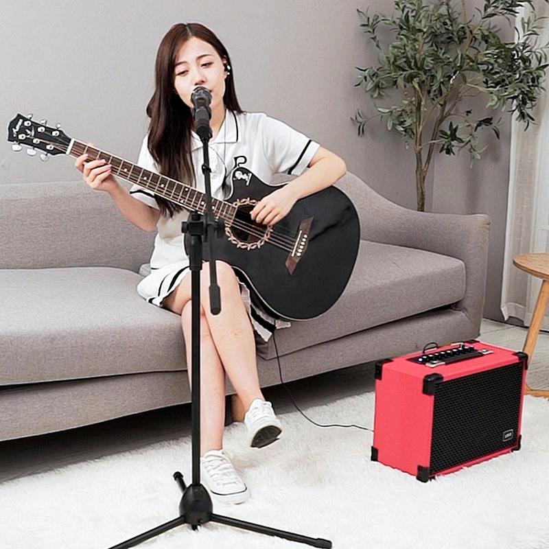 Big Power 100W Home Hifi Original Sound Karaoke Speaker Bluetooth Wireless Musical instrument speaker