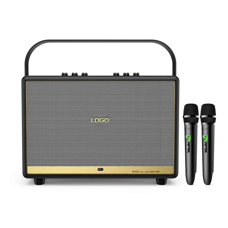120 Watts Rechargeable Portable Active Powerful Karaoke Amplifier PA System Set Indoor Hi-Fi Wireless Bluetooth Speaker