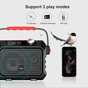 30W Multi-functional Portable Speaker Wireless PA Speaker Bluetooth Speakers Bass High Quality Loud for Party DJ Karaoke