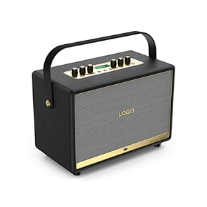 100W Home Hi-Fi Audio UHF High Frequency Wireless PA Technology Support Recording Karaoke Speaker Outdoor