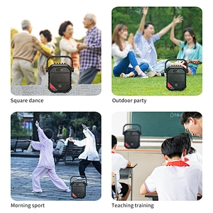 40 Watts 6.5 Inch Big Power Party Speaker With Microphone Light Weight Portable Outdoor Bluetooth Karaoke Speaker