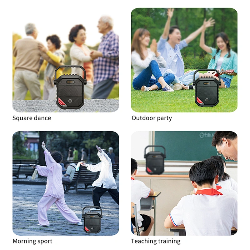 40 Watts 6.5 Inch Big Power Party Speaker With Microphone Light Weight Portable Outdoor Bluetooth Karaoke Speaker