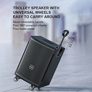 150W Multi-function Portable Speaker for Teaching/Meeting/Karaoke Outdoor Powered BT Loud Speaker with Mic