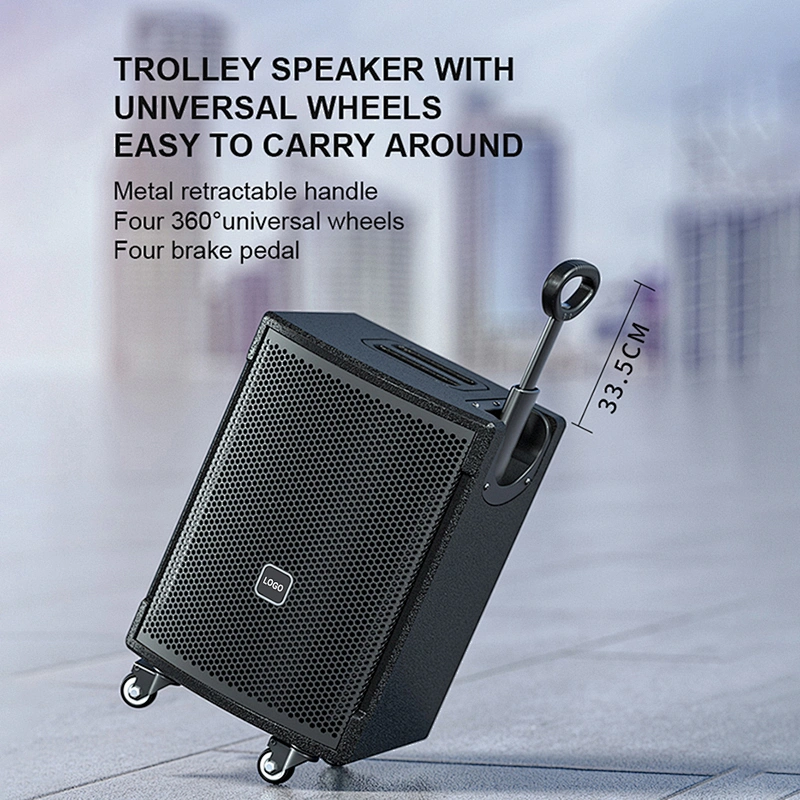 150W Multi-function Portable Speaker for Teaching/Meeting/Karaoke Outdoor Powered BT Loud Speaker with Mic