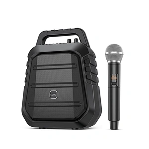 60W Professional ECHO Sound Portable PA Speaker Wireless Microphone Bluetooth Voice Amplifier for Teacher Meeting