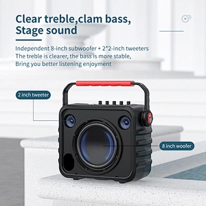 100w Big Power Portable Professional Instrument Speaker Set With Microphone Outdoor Wireless Karaoke Speaker