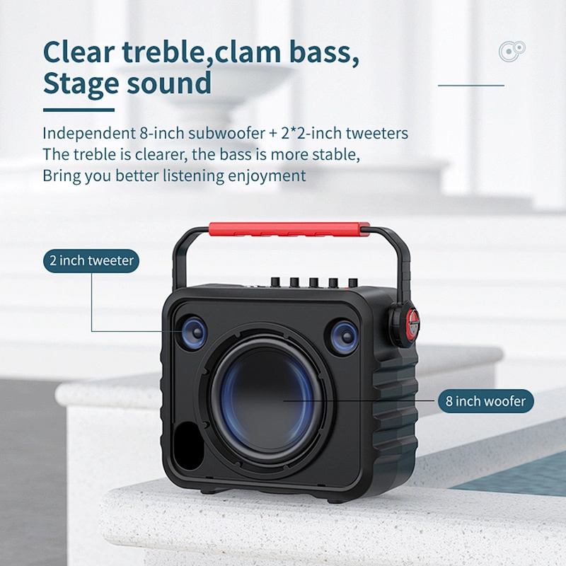 100w Big Power Portable Professional Instrument Speaker Set With Microphone Outdoor Wireless Karaoke Speaker