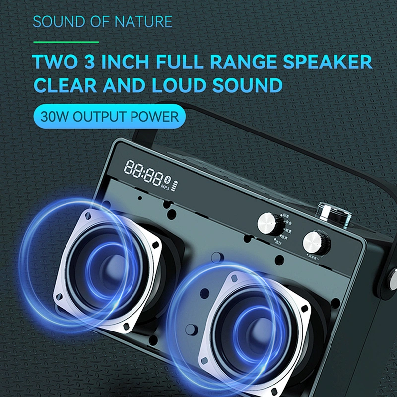 30w Home HiFi Audio Wireless Bluetooth Speakers Audio System Sound Karaoke Speaker