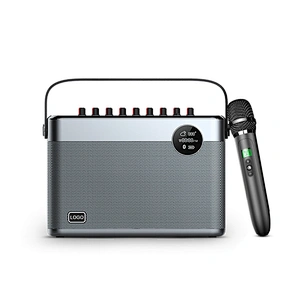 60W Home HiFi Audio Party Speaker DSP Sound Wireless Microphone Rechargeable Portable Bluetooth Karaoke Speaker