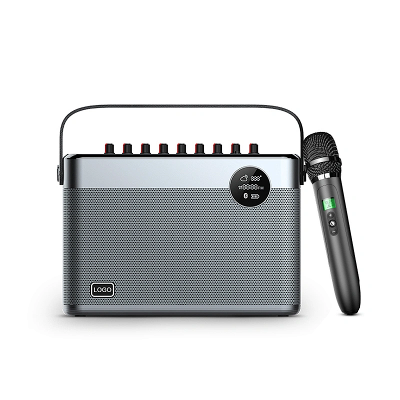 60W Home HiFi Audio Party Speaker DSP Sound Wireless Microphone Rechargeable Portable Bluetooth Karaoke Speaker