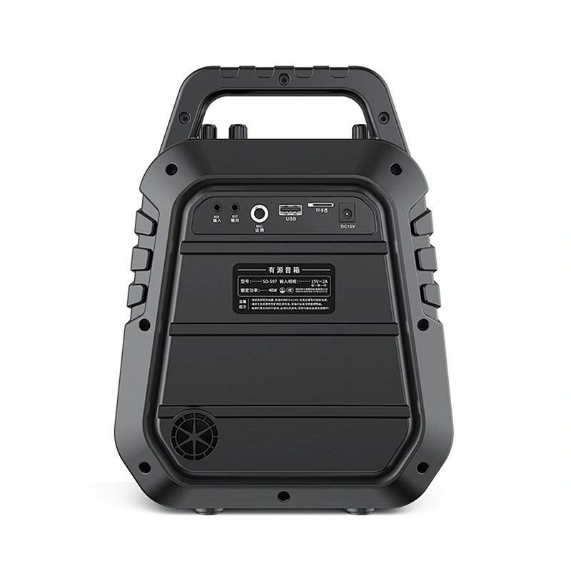 Rechargeable 40w Powerful Outdoor Bluetooth Speaker System With Microphone UHF Wireless Portable Karaoke Speaker