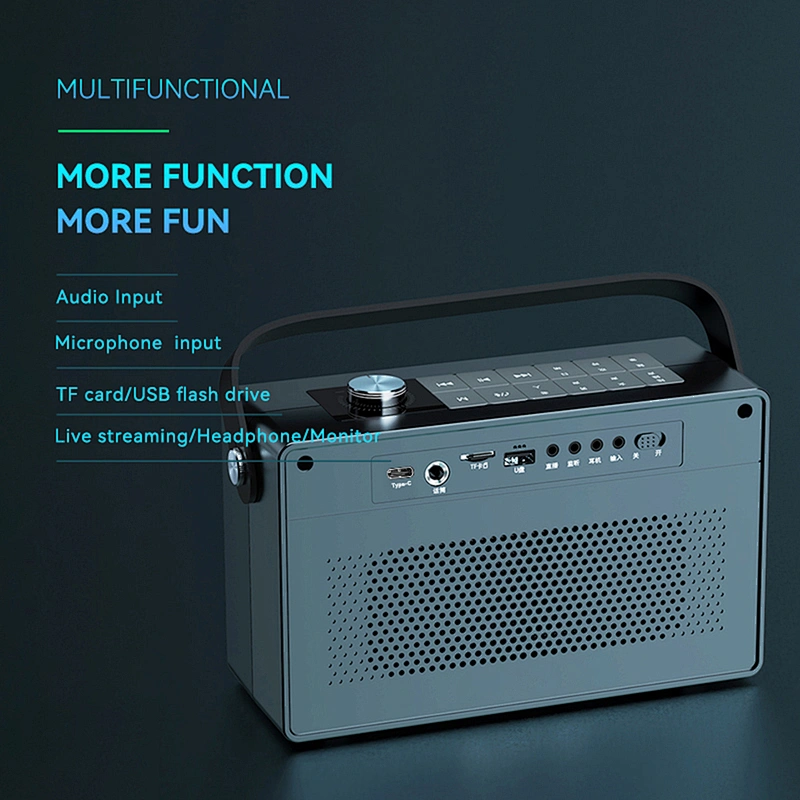 30w Home HiFi Audio Wireless Bluetooth Speakers Audio System Sound Karaoke Speaker