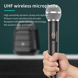 60W Professional ECHO Sound Portable PA Speaker Wireless Microphone Bluetooth Voice Amplifier for Teacher Meeting