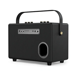 120 Watts Rechargeable Portable Active Powerful Karaoke Amplifier PA System Set Indoor Hi-Fi Wireless Bluetooth Speaker