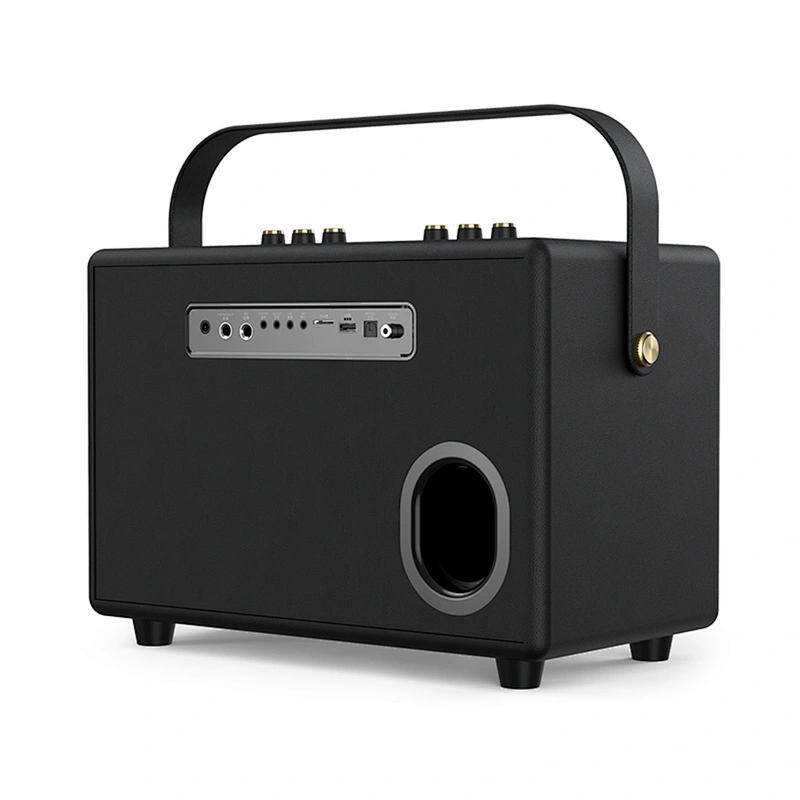 120 Watts Rechargeable Portable Active Powerful Karaoke Amplifier PA System Set Indoor Hi-Fi Wireless Bluetooth Speaker