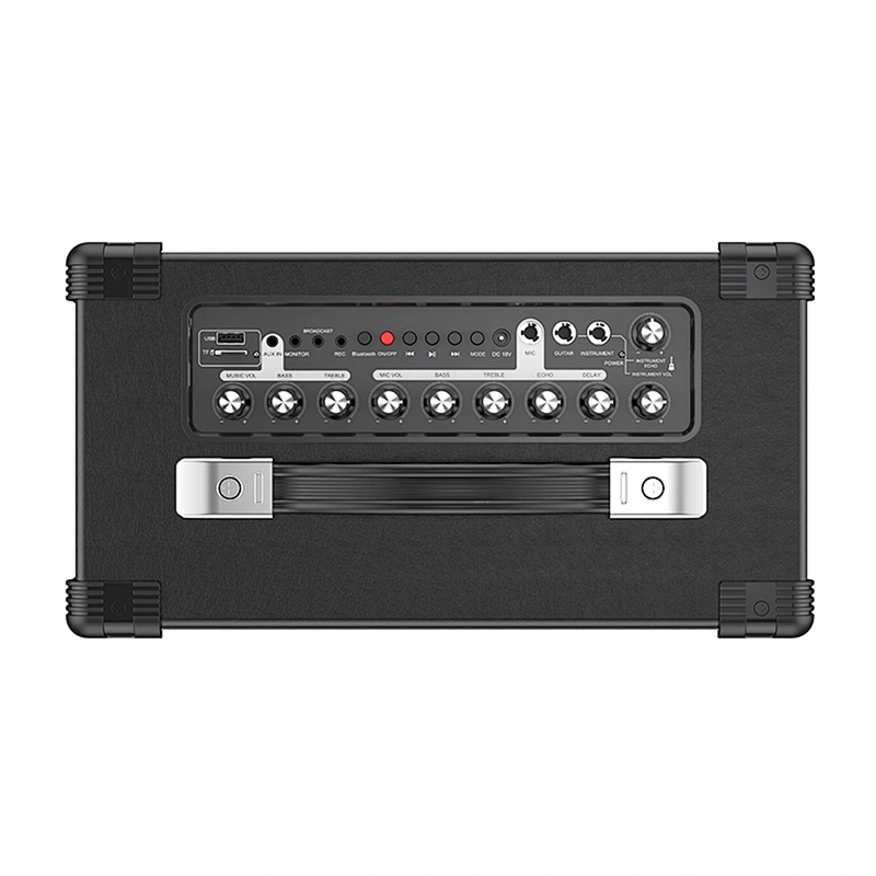 Big Power 100W Home Hifi Original Sound Karaoke Speaker Bluetooth Wireless Musical instrument speaker
