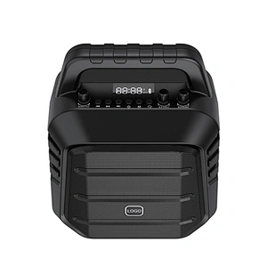 60W Professional ECHO Sound Portable PA Speaker Wireless Microphone Bluetooth Voice Amplifier for Teacher Meeting