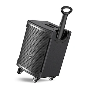 120W Portable Trolley Speaker ECHO Bass DSP Sound DJ Party Karaoke Speaker HiFi Acoustic Bluetooth Speaker