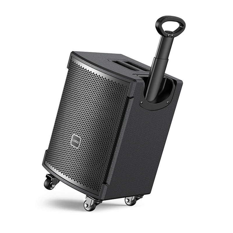150W Multi-function Portable Speaker for Teaching/Meeting/Karaoke Outdoor Powered BT Loud Speaker with Mic