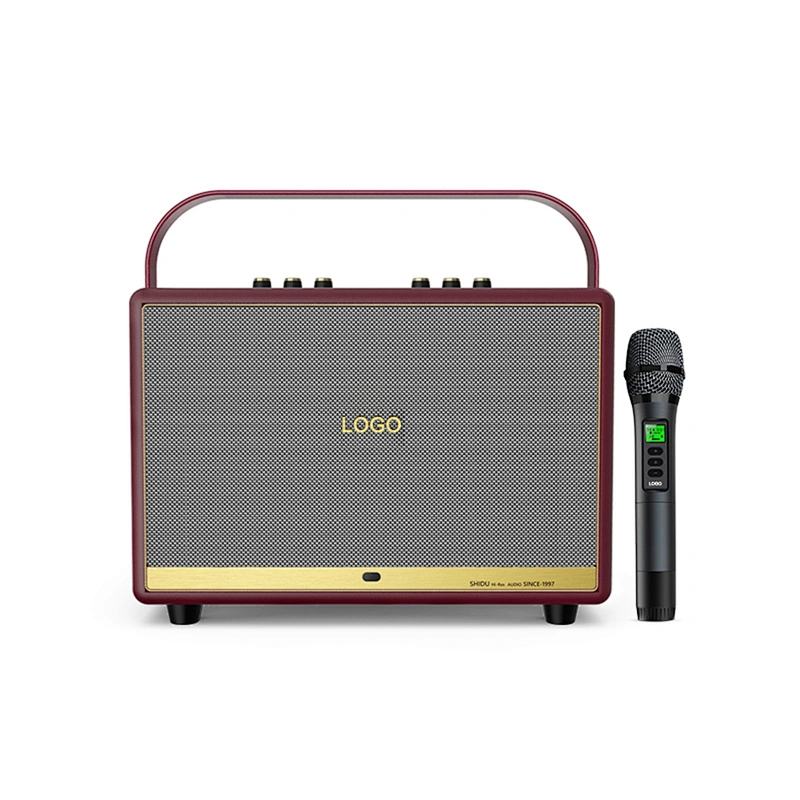 100W Home Hi-Fi Audio UHF High Frequency Wireless PA Technology Support Recording Karaoke Speaker Outdoor