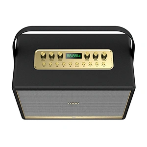 120 Watts Rechargeable Portable Active Powerful Karaoke Amplifier PA System Set Indoor Hi-Fi Wireless Bluetooth Speaker