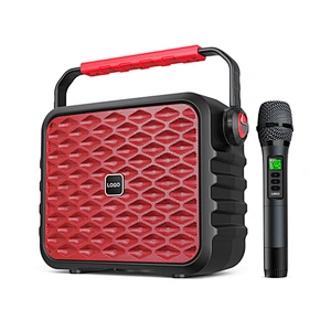 100w Big Power Portable Professional Instrument Speaker Set With Microphone Outdoor Wireless Karaoke Speaker