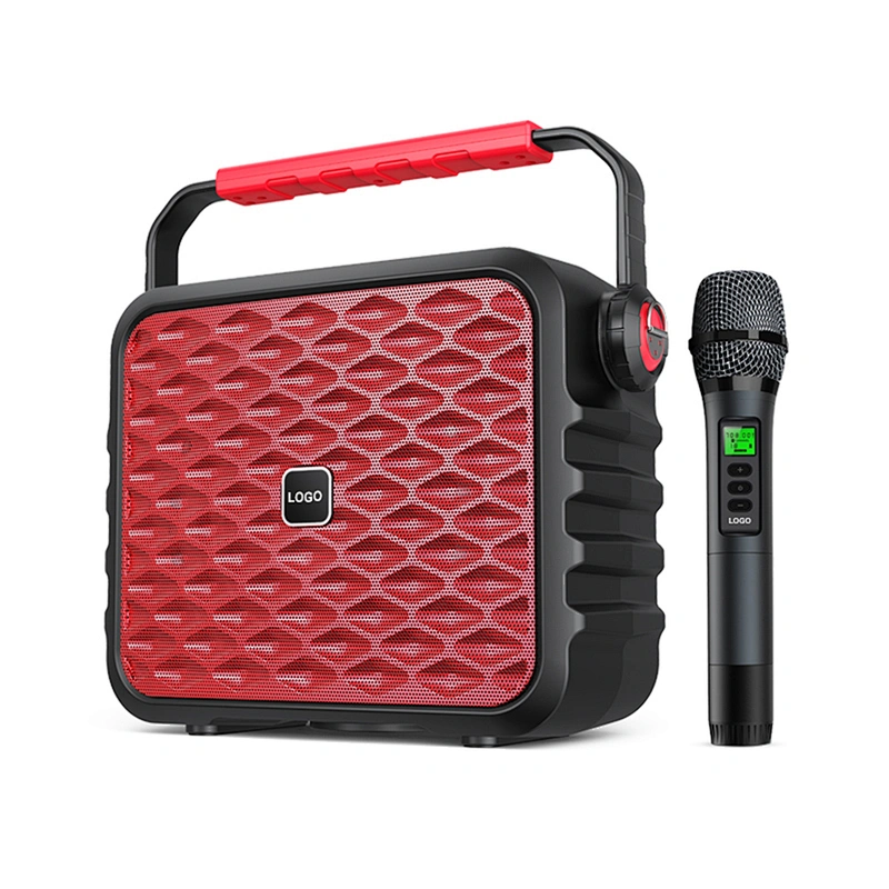 100w Big Power Portable Professional Instrument Speaker Set With Microphone Outdoor Wireless Karaoke Speaker