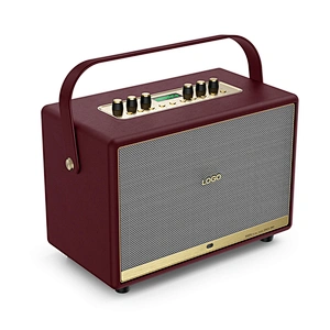 120 Watts Rechargeable Portable Active Powerful Karaoke Amplifier PA System Set Indoor Hi-Fi Wireless Bluetooth Speaker