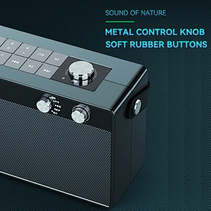 30w Home HiFi Audio Wireless Bluetooth Speakers Audio System Sound Karaoke Speaker