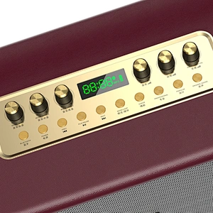 100W Home Hi-Fi Audio UHF High Frequency Wireless PA Technology Support Recording Karaoke Speaker Outdoor