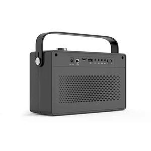 30w Home HiFi Audio Wireless Bluetooth Speakers Audio System Sound Karaoke Speaker