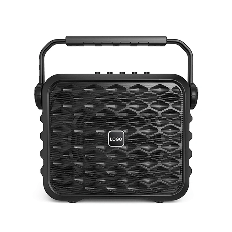 100w Big Power Portable Professional Instrument Speaker Set With Microphone Outdoor Wireless Karaoke Speaker