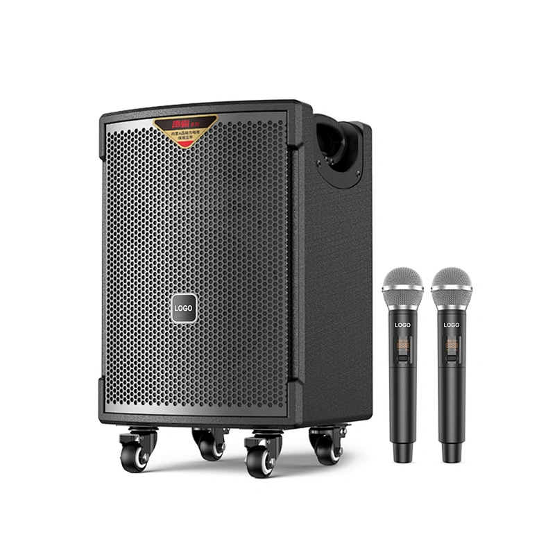 150W Multi-function Portable Speaker for Teaching/Meeting/Karaoke Outdoor Powered BT Loud Speaker with Mic