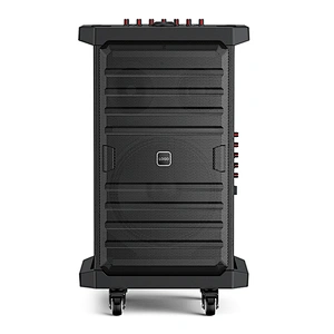 200W Big Rechargeable Powerful UHF Dual Wireless Instrument Trolley Speaker Active Outdoor Portable Karaoke Speaker
