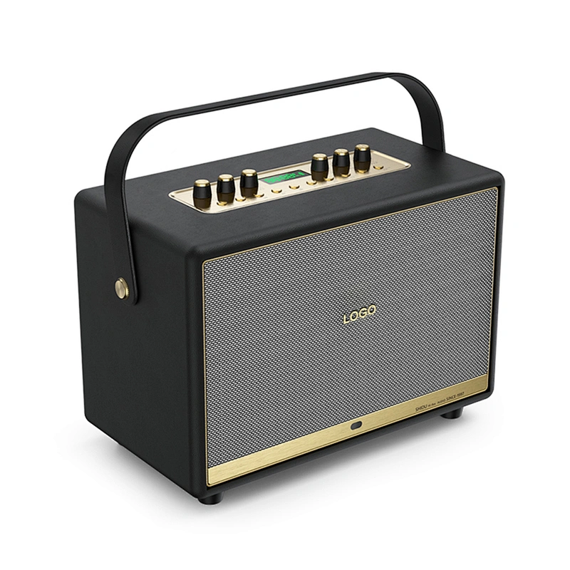 120 Watts Rechargeable Portable Active Powerful Karaoke Amplifier PA System Set Indoor Hi-Fi Wireless Bluetooth Speaker