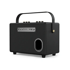 100W Home Hi-Fi Audio UHF High Frequency Wireless PA Technology Support Recording Karaoke Speaker Outdoor