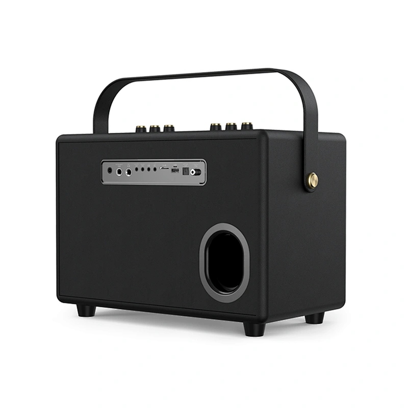 100W Home Hi-Fi Audio UHF High Frequency Wireless PA Technology Support Recording Karaoke Speaker Outdoor