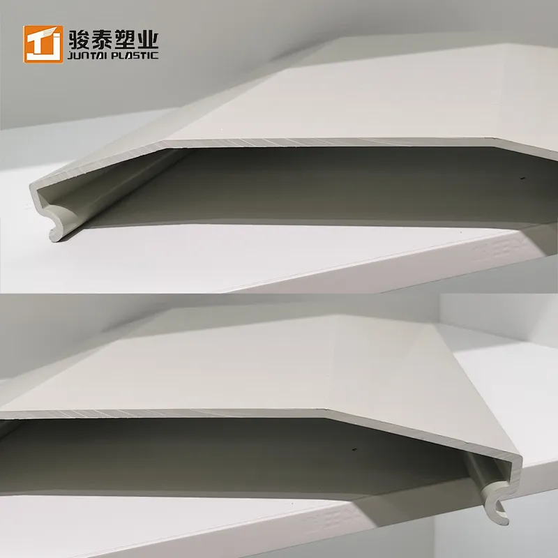 Rigid and Flexible Shape Co-extrusion Doors Upvc and Pvc Plastic Profiles 3D Model Design Total Solution for Projects N/A