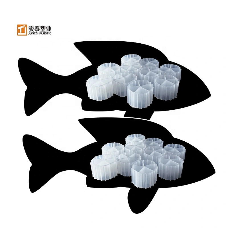 Manufacturer of film carrier mbbr bio media biochips