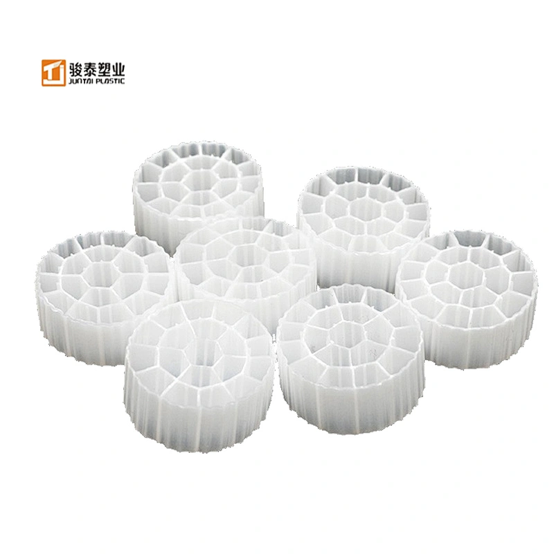 Mbr Mbbr19 for Water Farm Mbbr Bio Media China Manufacturing Plant Food & Beverage Factory Online Support More Than 5 Years