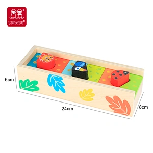 Animal Shape Sorting Box