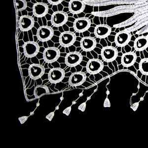 30cm Spring Style Embroidery Milk Yarn Butterfly Pattern Collar Lace with Tassels