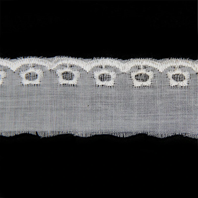 2.5CM Most popular swiss tc vouile lace trimming embroidery